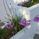Surfer Paradise * Naxos City