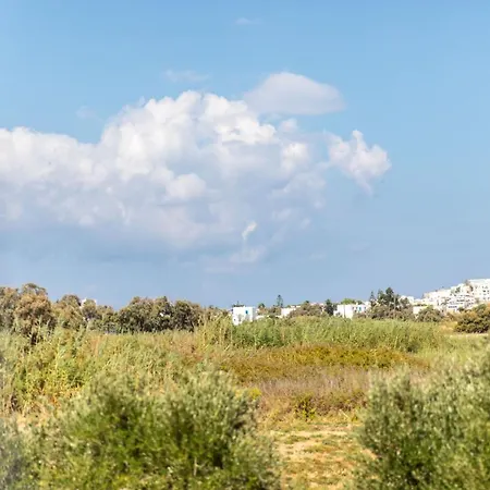 冲浪者天堂公寓 公寓 Naxos City