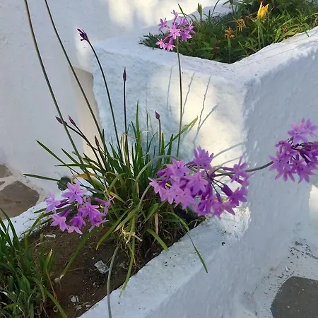 冲浪者天堂公寓 * Naxos City