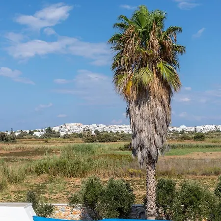 公寓 冲浪者天堂公寓 Naxos City