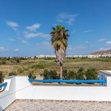 冲浪者天堂公寓 公寓 Naxos City