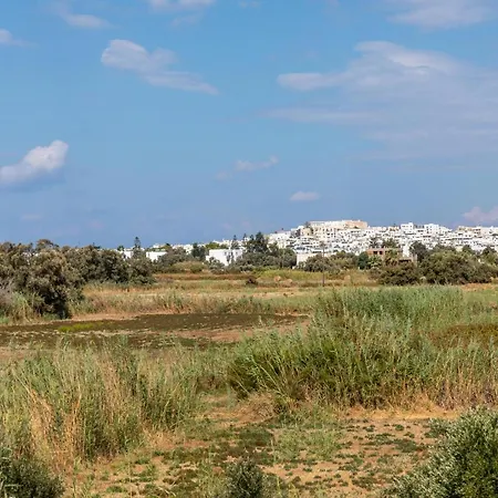 冲浪者天堂公寓 Naxos City