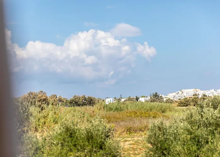 Surfer Paradise Lejlighed Naxos City