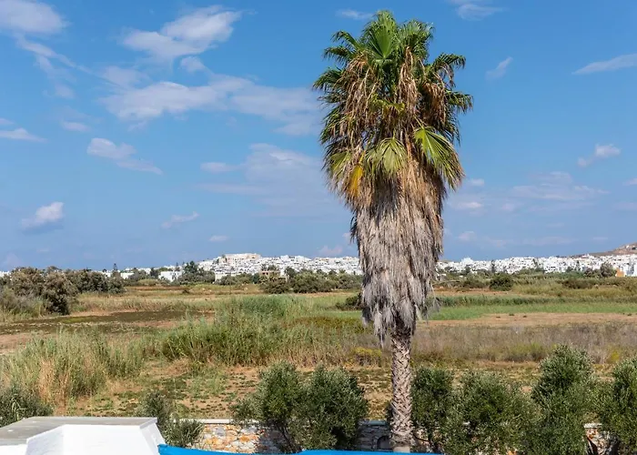 Lejlighed Surfer Paradise Naxos City