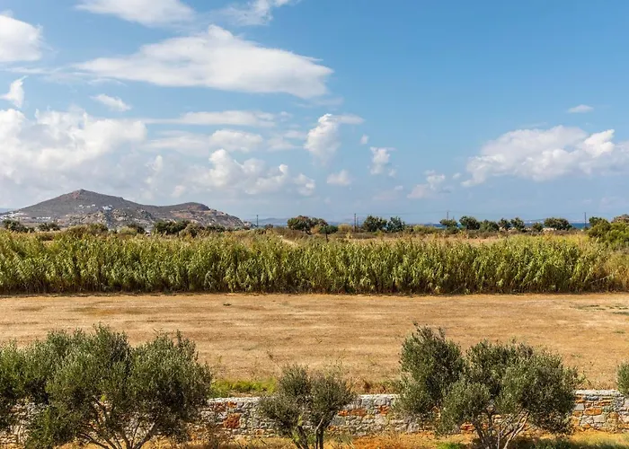 Surfer Paradise Lejlighed