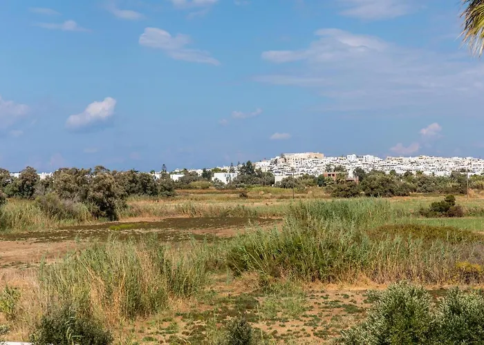 Surfer Paradise Naxos City