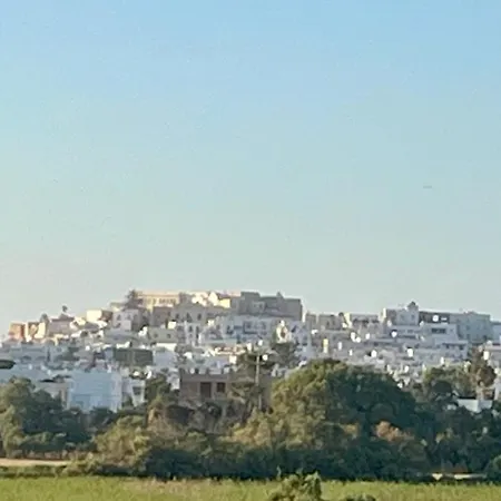 Surfer Paradise * Naxos City