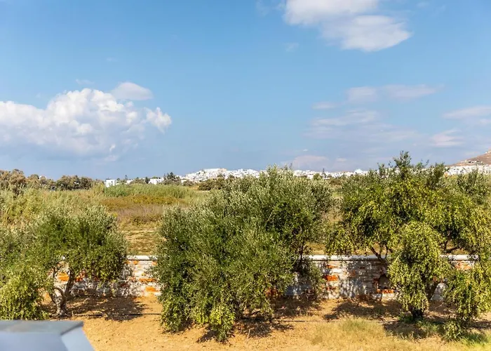 Surfer Paradise 公寓